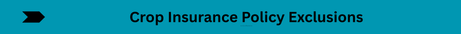 Life Insurance Quotes (36)