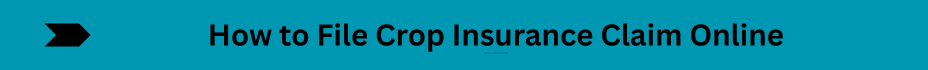 Life Insurance Quotes (38)