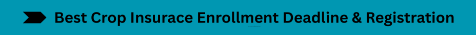 Life Insurance Quotes (39)