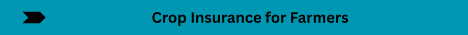 Life Insurance Quotes (4)