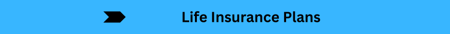 Life Insurance Quotes (4)