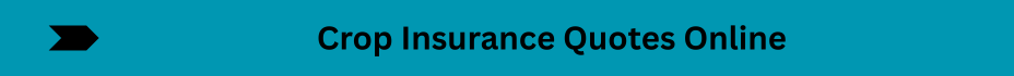 Life Insurance Quotes