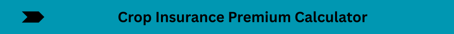 Life Insurance Quotes (5)