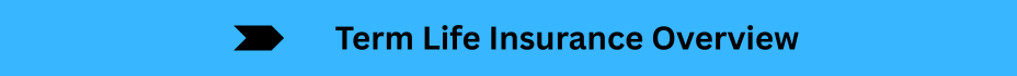 Life Insurance Quotes (5)