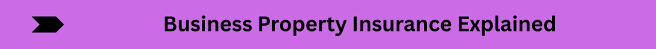 Life Insurance Quotes (6)