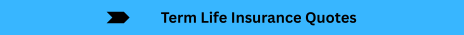 Life Insurance Quotes (6)