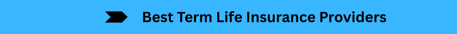 Life Insurance Quotes (7)