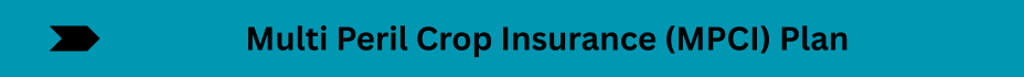 Life Insurance Quotes (8)