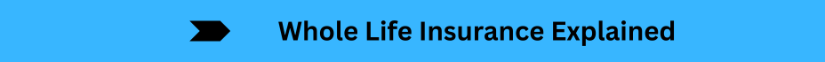 Life Insurance Quotes (8)