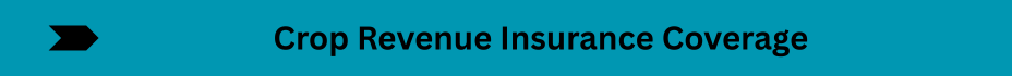Life Insurance Quotes (9)
