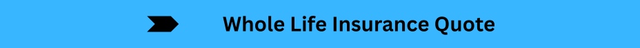 Life Insurance Quotes (9)